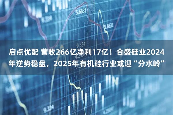 启点优配 营收266亿净利17亿！合盛硅业2024年逆势稳盘，2025年有机硅行业或迎“分水岭”