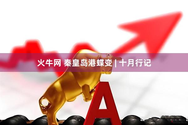 火牛网 秦皇岛港蝶变 | 十月行记