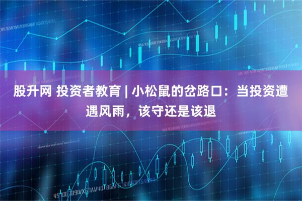 股升网 投资者教育 | 小松鼠的岔路口:当投资遭遇风雨,该守还是该退