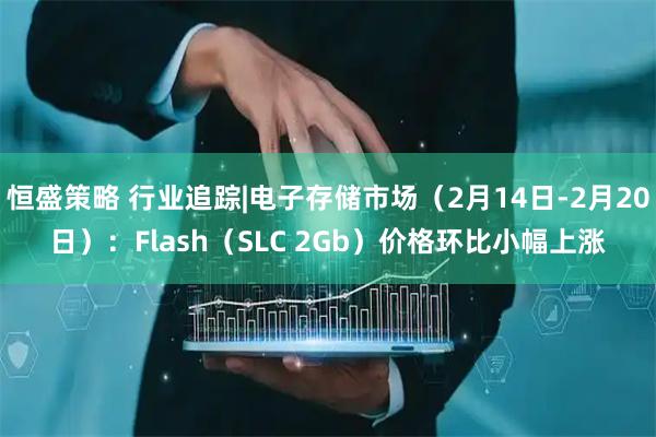 恒盛策略 行业追踪|电子存储市场（2月14日-2月20日）：Flash（SLC 2Gb）价格环比小幅上涨
