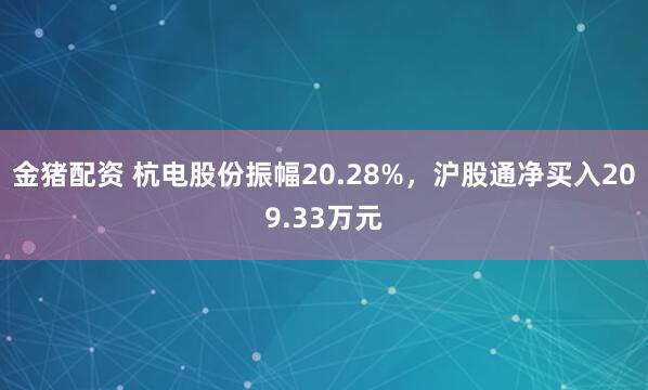 金猪配资 杭电股份振幅20.28%，沪股通净买入209.33万元